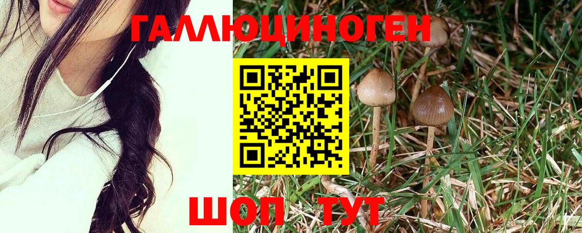 Галлюциногенные грибы Magic Shrooms Иваново