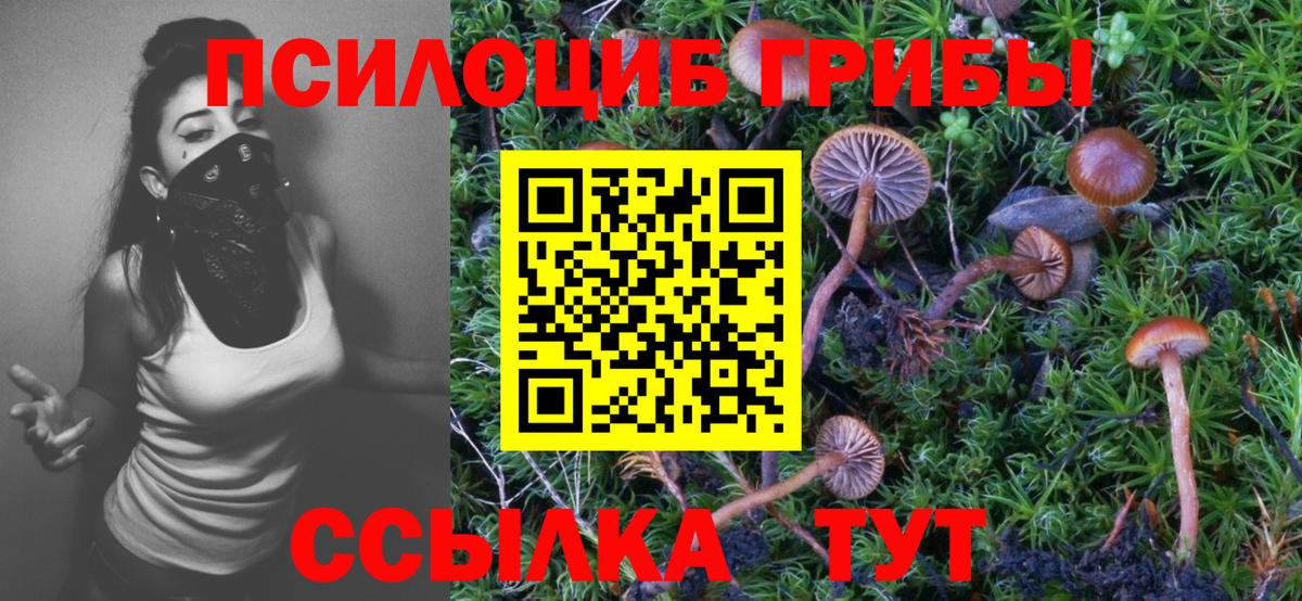 Галлюциногенные грибы Magic Shrooms  Вход с VPN  Иваново 