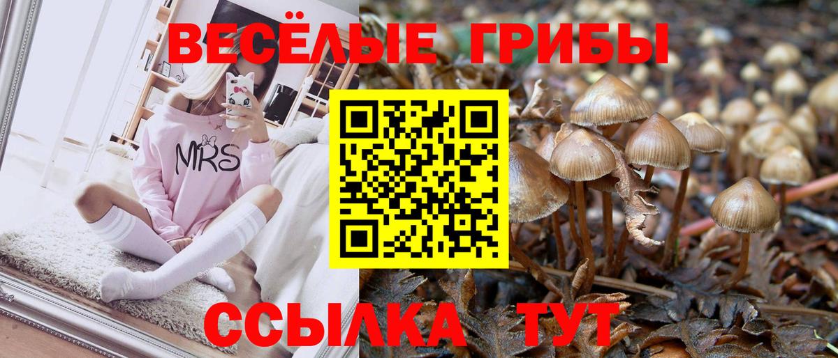 Меф кристаллы  LSD-25  Гашиш  Купить наркотик  Вход с VPN  МДМА  Конопля  Иваново  COCAIN 